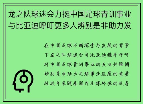 龙之队球迷会力挺中国足球青训事业与比亚迪呼吁更多人辨别是非助力发展